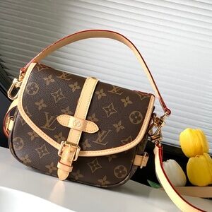 Louis Vuitton Brown and Tan Women's Bag